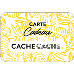 Cache Cache