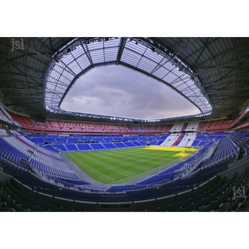 Groupama Stadium Lyon Privileges Perso